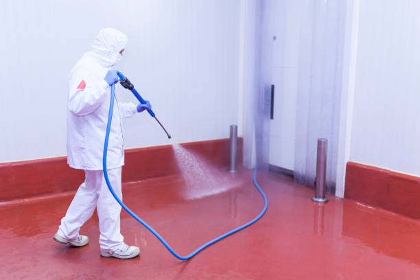 Best House Exterior Washing  in Shaw Heights, CO